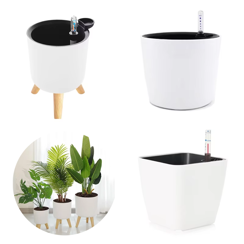 Bonsai Garden Zen - Vaso de Plástico para Plantas Internas