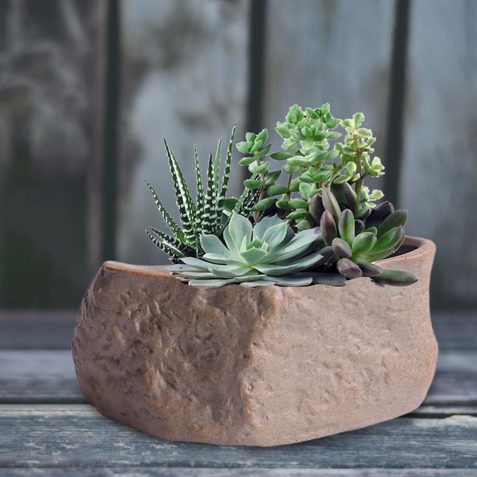 Training Pot Ceramic - Vaso de Cerâmica Leve para Suculentas,