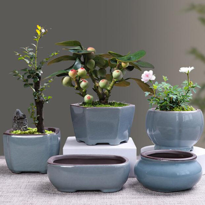 Bonsai Garden Zen - Vaso De Flores De Cerâmica Retro