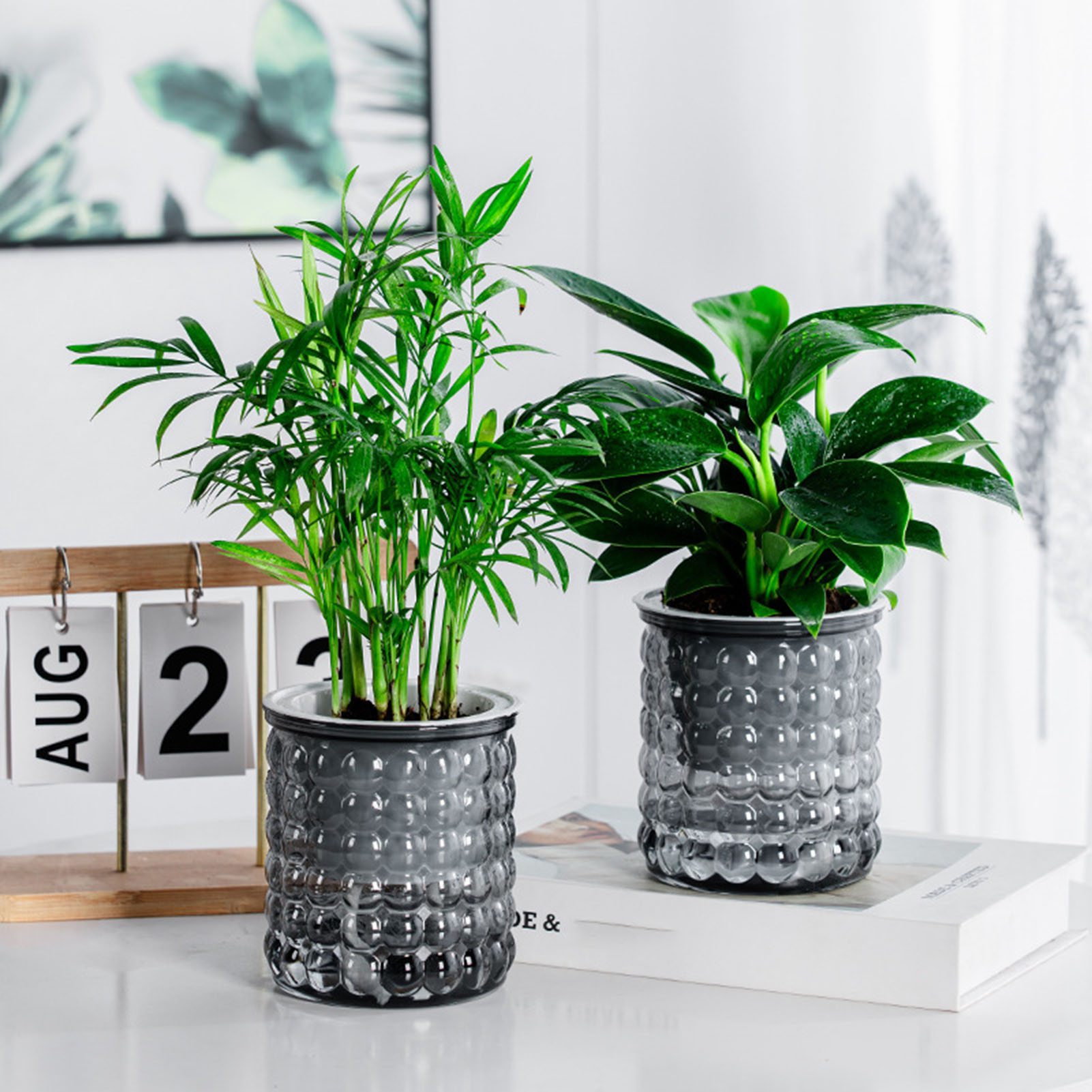 Bonsai Garden Zen - Novo auto rega plantas hidropônicas pote