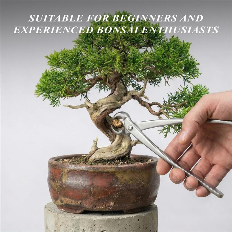 Bonsai Tool Set - Conjunto de Ferramentas para Bonsai AWAH