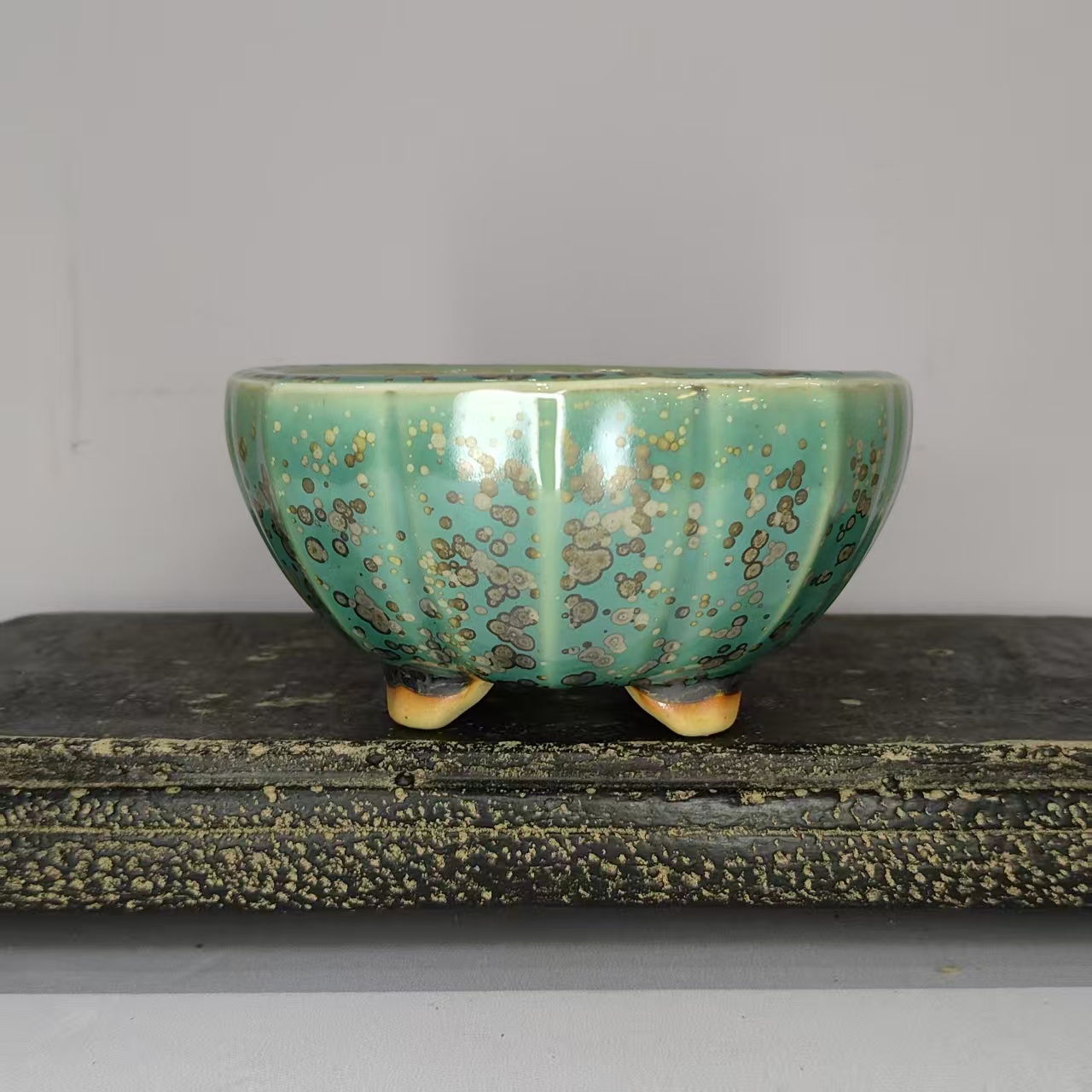 Bonsai Garden Zen - Vaso de Bonsai Popular em Forma