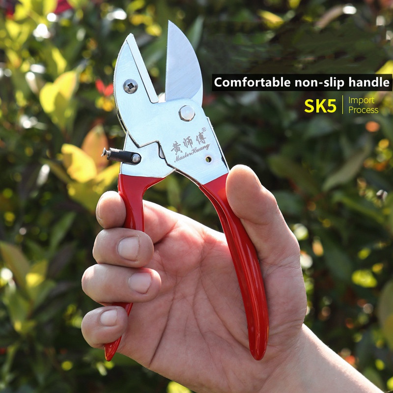 Bonsai Tool Set - Sk5 aço manual jardim tesouras de