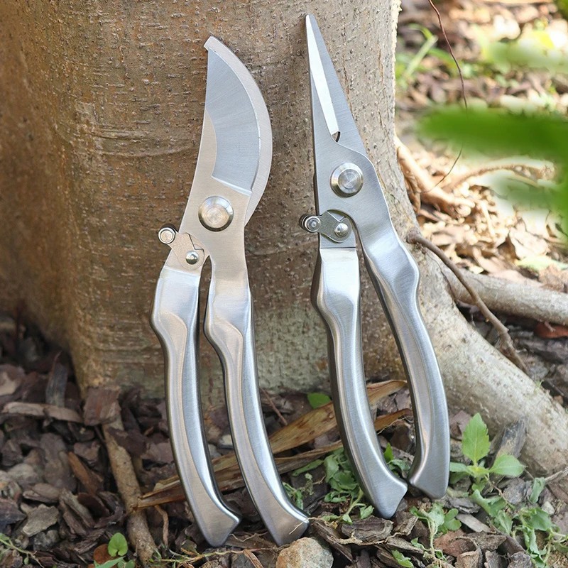 Bonsai Tool Set - Tesoura de Poda Profissional em Aço