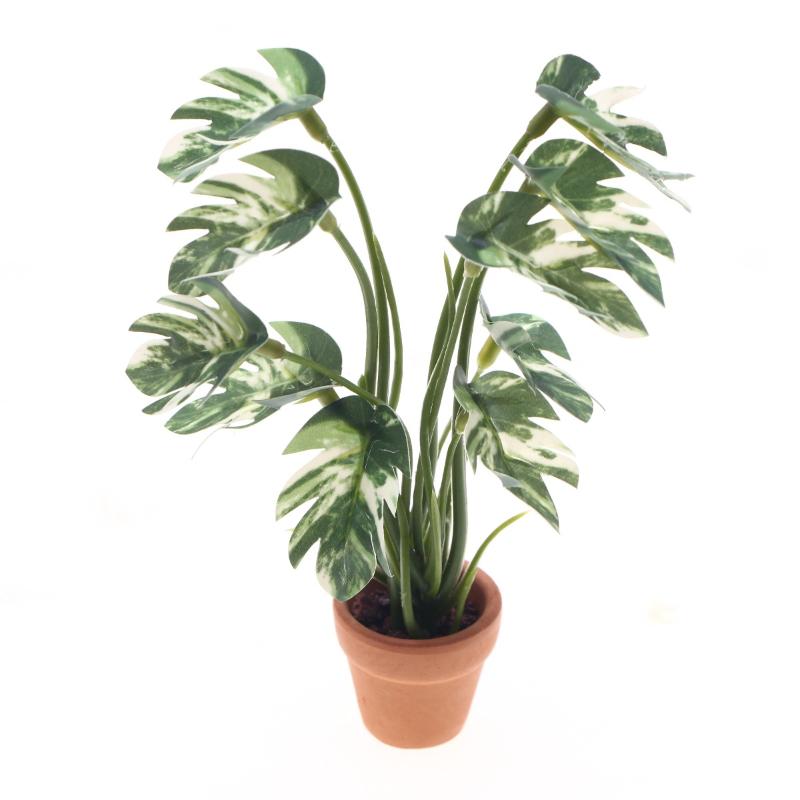Bonsai Garden Zen - Novo. 1PC Planta Verde Monstera em