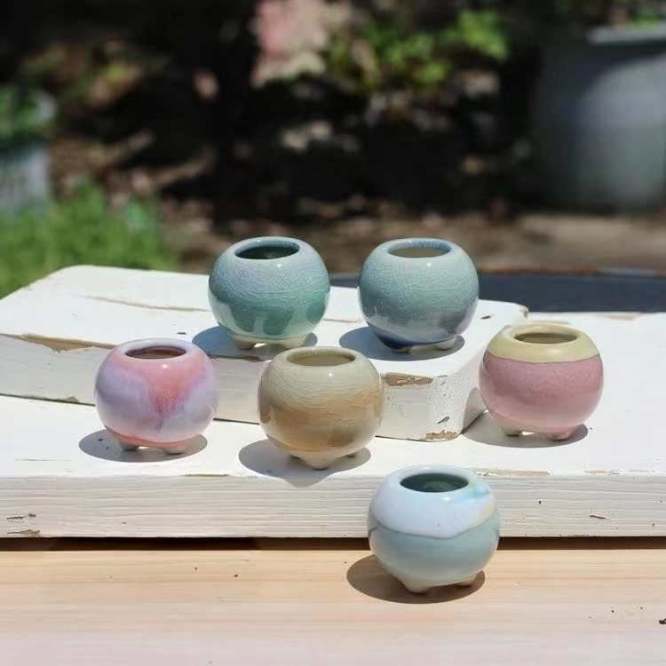 Bonsai Garden Zen - 6 pçs mini vaso de flores