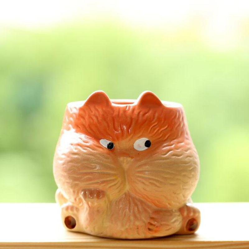 Gato bonito dos desenhos anima - Bonsai Garden Chinese Garden avaliação e preço