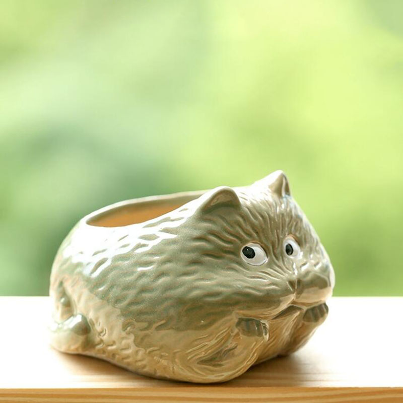 Gato bonito dos desenhos anima - Bonsai Garden Chinese Garden avaliação e preço