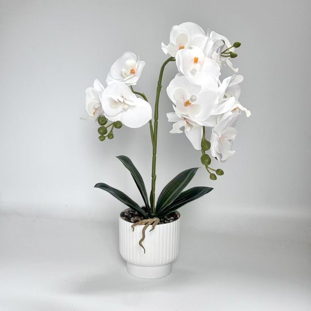 Orquídea Borboleta Artificial  - Bonsai Garden Zen avaliação e preço