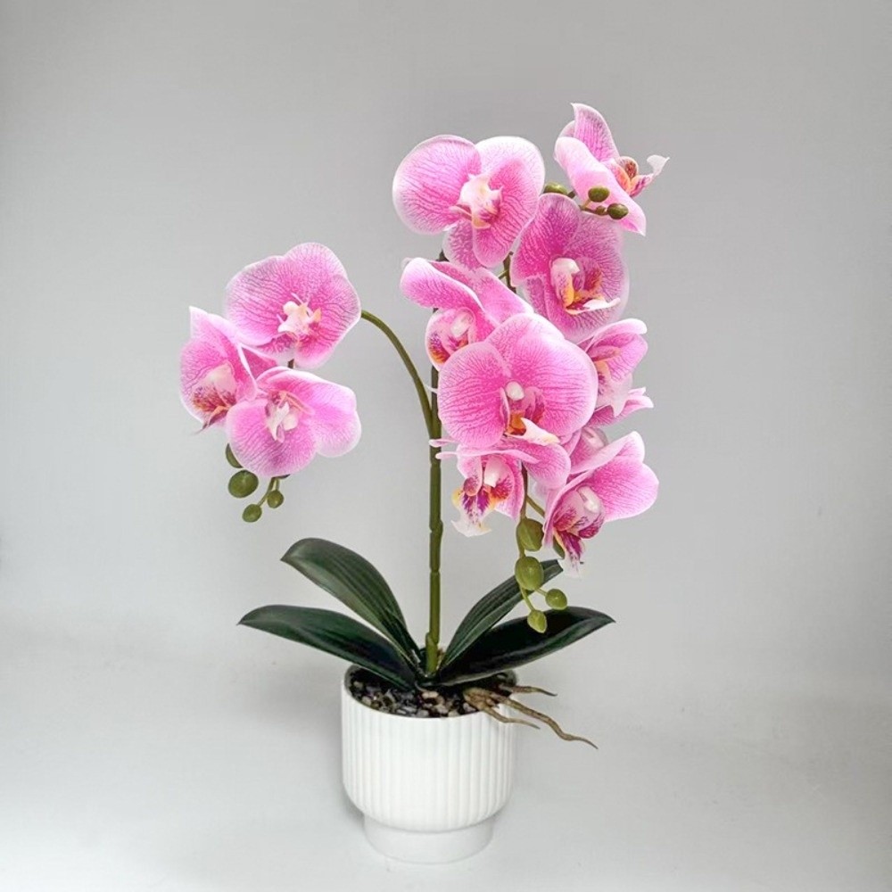 Orquídea Borboleta Artificial  - Bonsai Garden Zen avaliação e preço