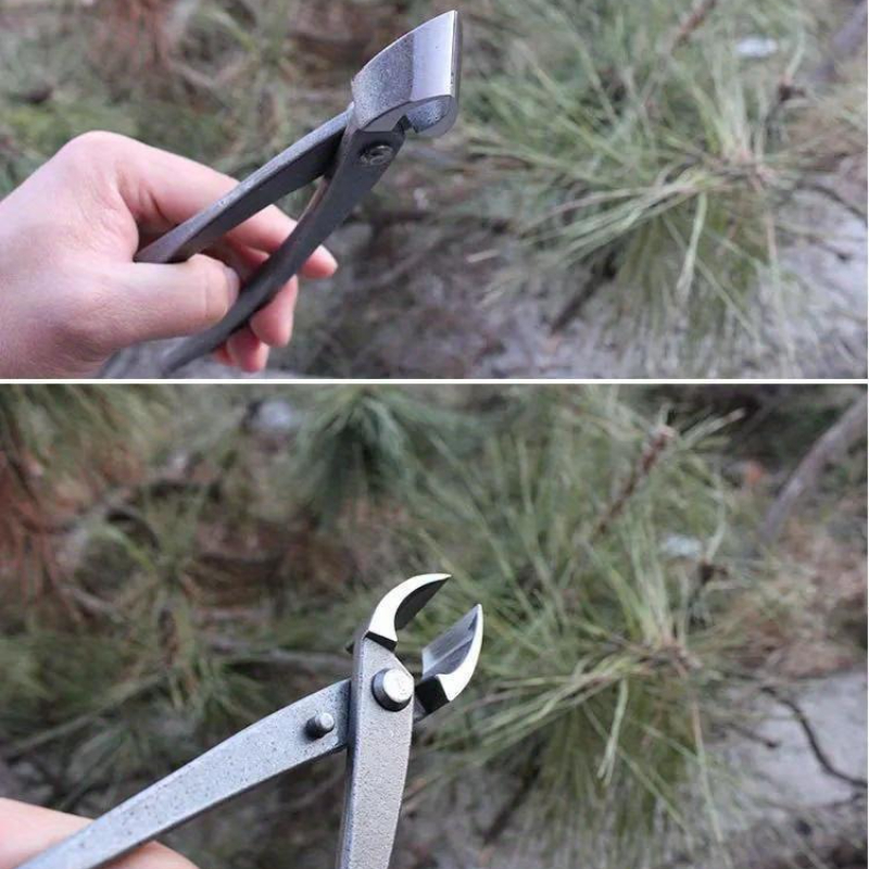 Cortador de botão de bonsai, c - Bonsai Tool Set avaliação e preço