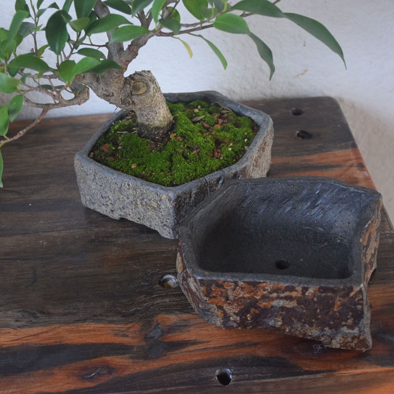 Vaso de Flores em Pedra Natura - Bonsai Garden Chinese Garden avaliação e preço