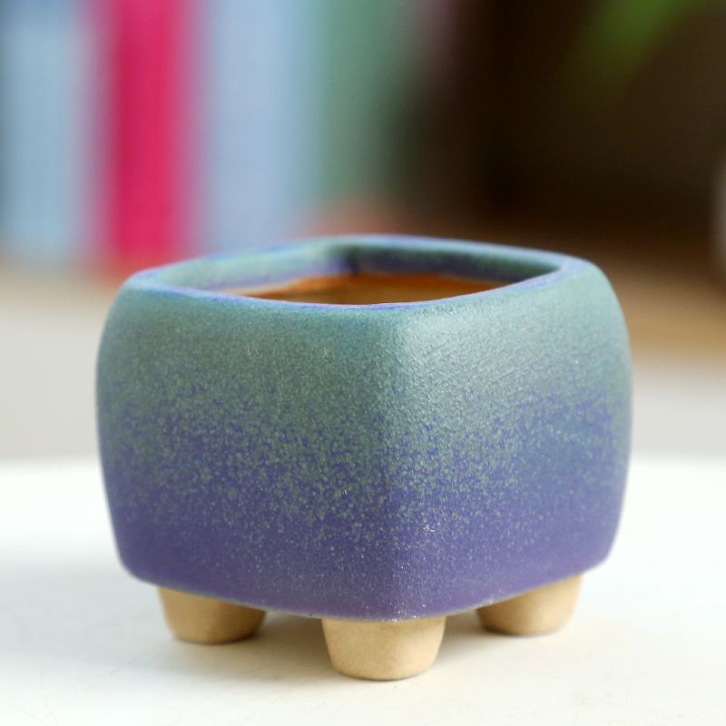 Mini vaso de flores carnudo de - Training Pot Ceramic avaliação e preço