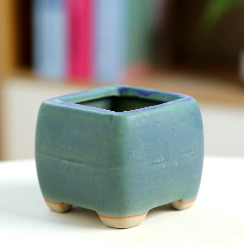 Mini vaso de flores carnudo de - Training Pot Ceramic avaliação e preço