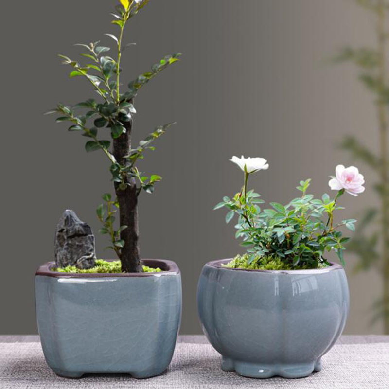 Vaso De Flores De Cerâmica Ret - Bonsai Garden Zen avaliação e preço