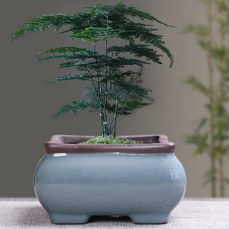 Vaso De Flores De Cerâmica Ret - Bonsai Garden Zen avaliação e preço
