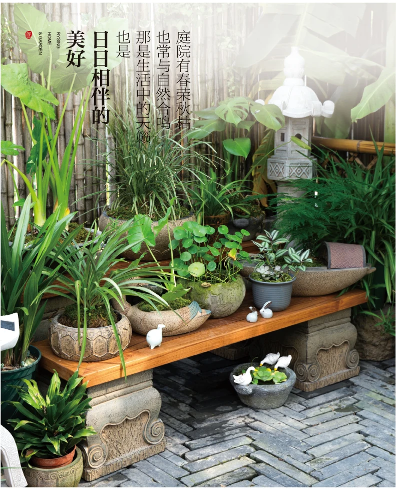 Layout de jardim de terraço, r - Bonsai Garden Chinese Garden avaliação e preço