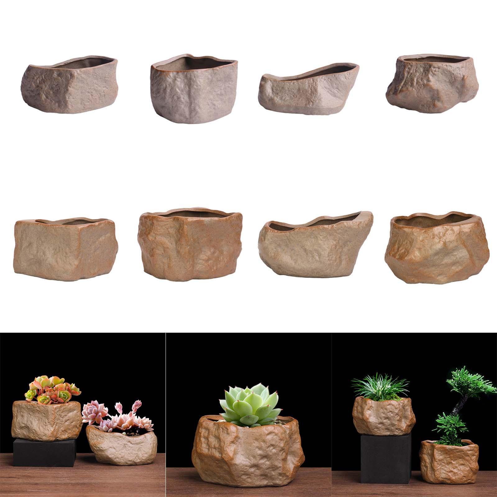Pote suculento de cerâmica em  - Training Pot Ceramic avaliação e preço