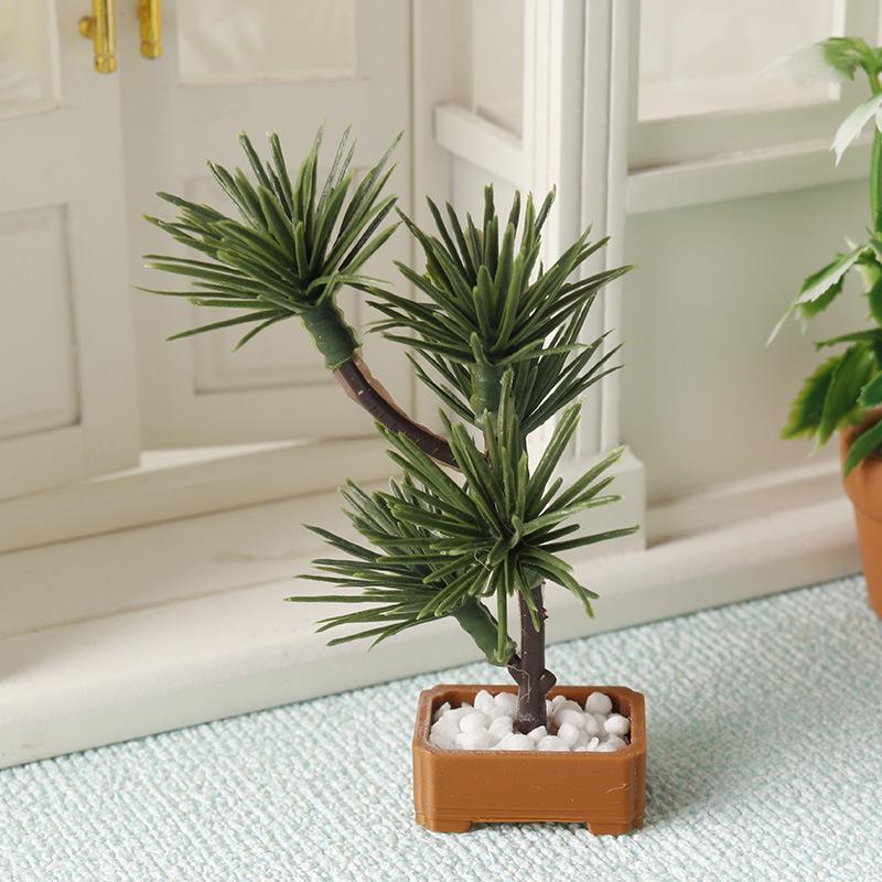 1 Peça de Árvore de Pinheiro S - Bonsai Garden Usa avaliação e preço