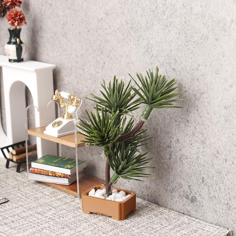 1 Peça de Árvore de Pinheiro S - Bonsai Garden Usa avaliação e preço