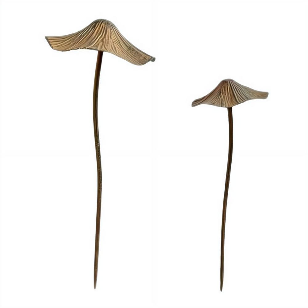 Conjunto de Decoração de Jardi - Bonsai Garden Usa avaliação e preço