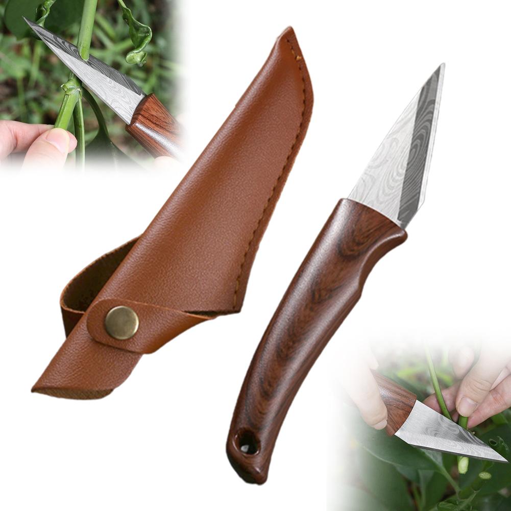 Faca de Enxertia com Cabo de M - Bonsai Tool Set avaliação e preço