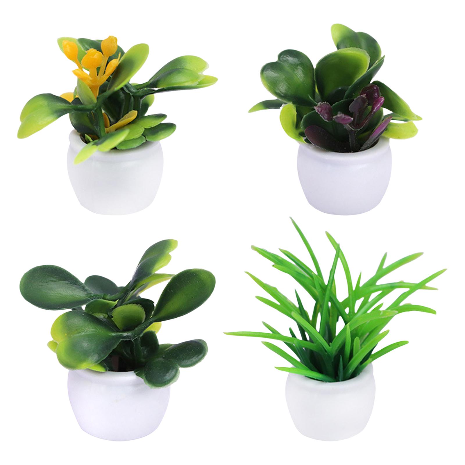 Mini Jardim de Bonecas: Bonsai - Bonsai Garden Europe avaliação e preço