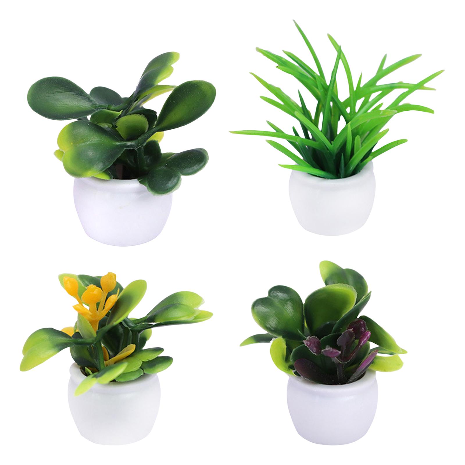 Mini Jardim de Bonecas: Bonsai - Bonsai Garden Europe avaliação e preço