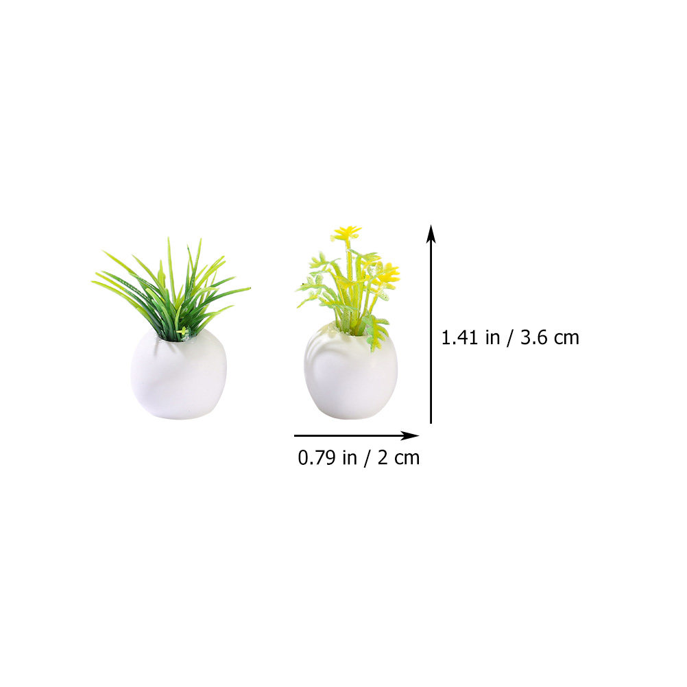 12 Peças de Plantas Miniatura  - Bonsai Garden Europe avaliação e preço