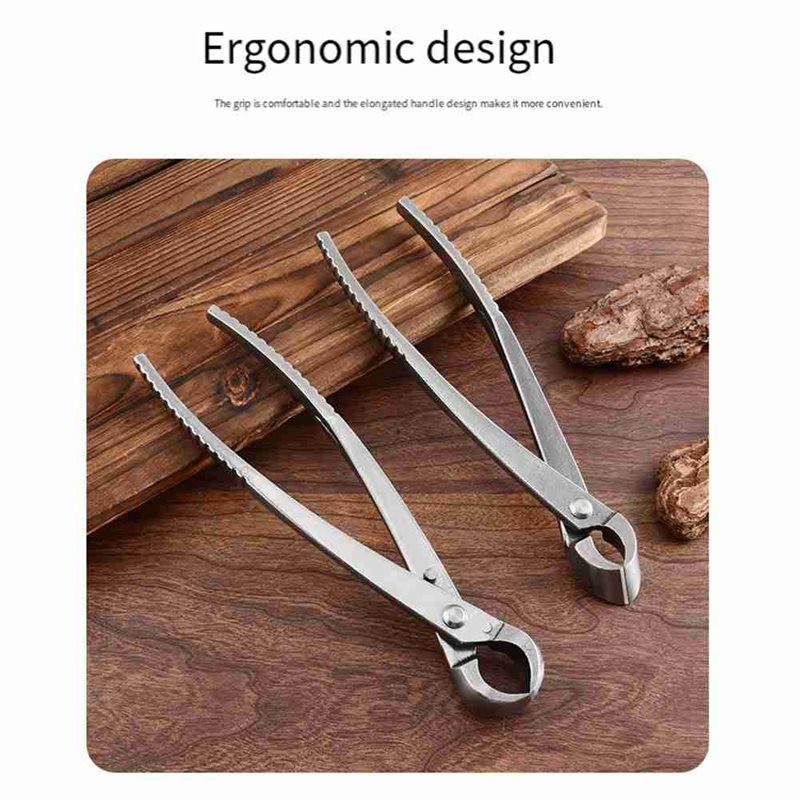 Conjunto de ferramentas para á - Bonsai Tool Set avaliação e preço