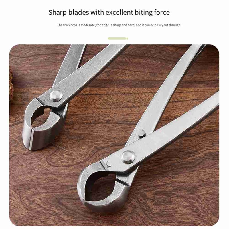 Conjunto de ferramentas para á - Bonsai Tool Set avaliação e preço