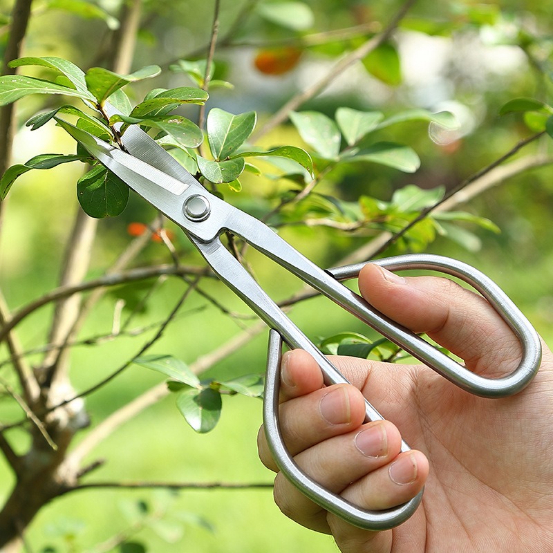 Tesoura para Folhas Delicadas, - Bonsai Tool Set avaliação e preço