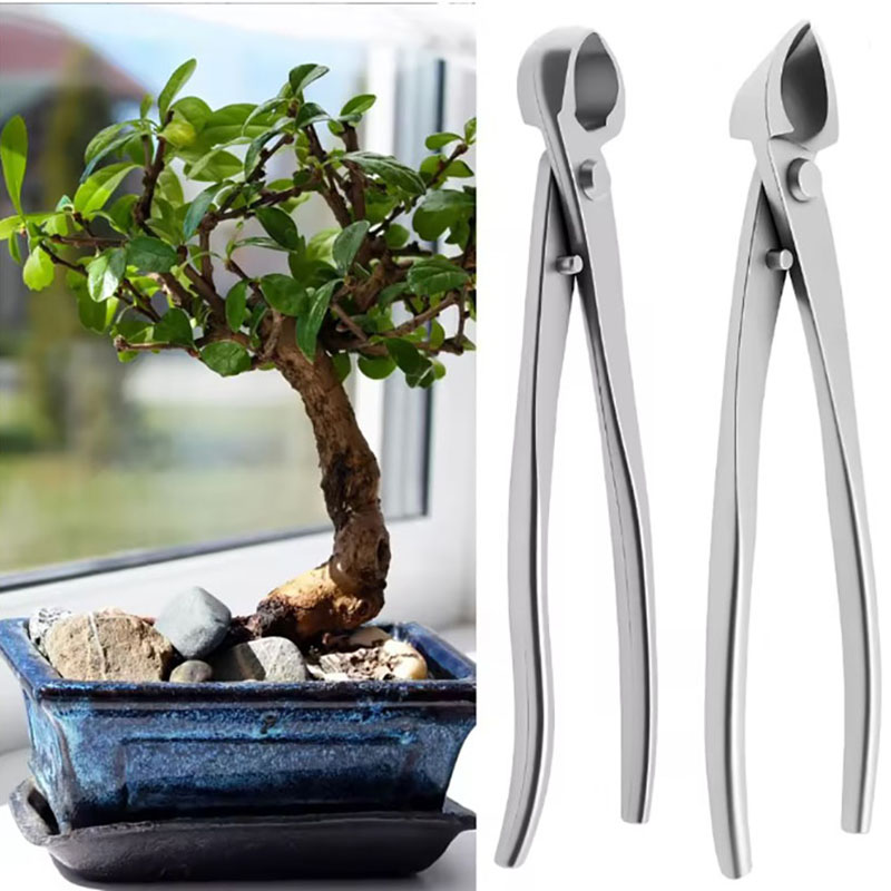2 pçs 210mm de aço inoxidável  - Bonsai Tool Set avaliação e preço