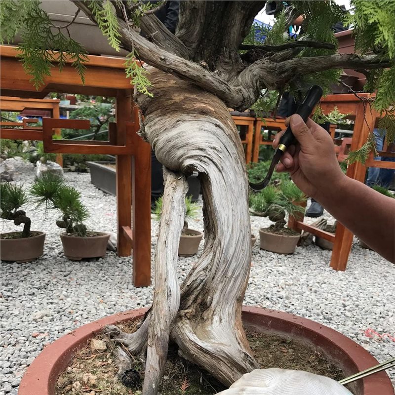 Conjunto de Ferramentas para E - Bonsai Tool Set avaliação e preço
