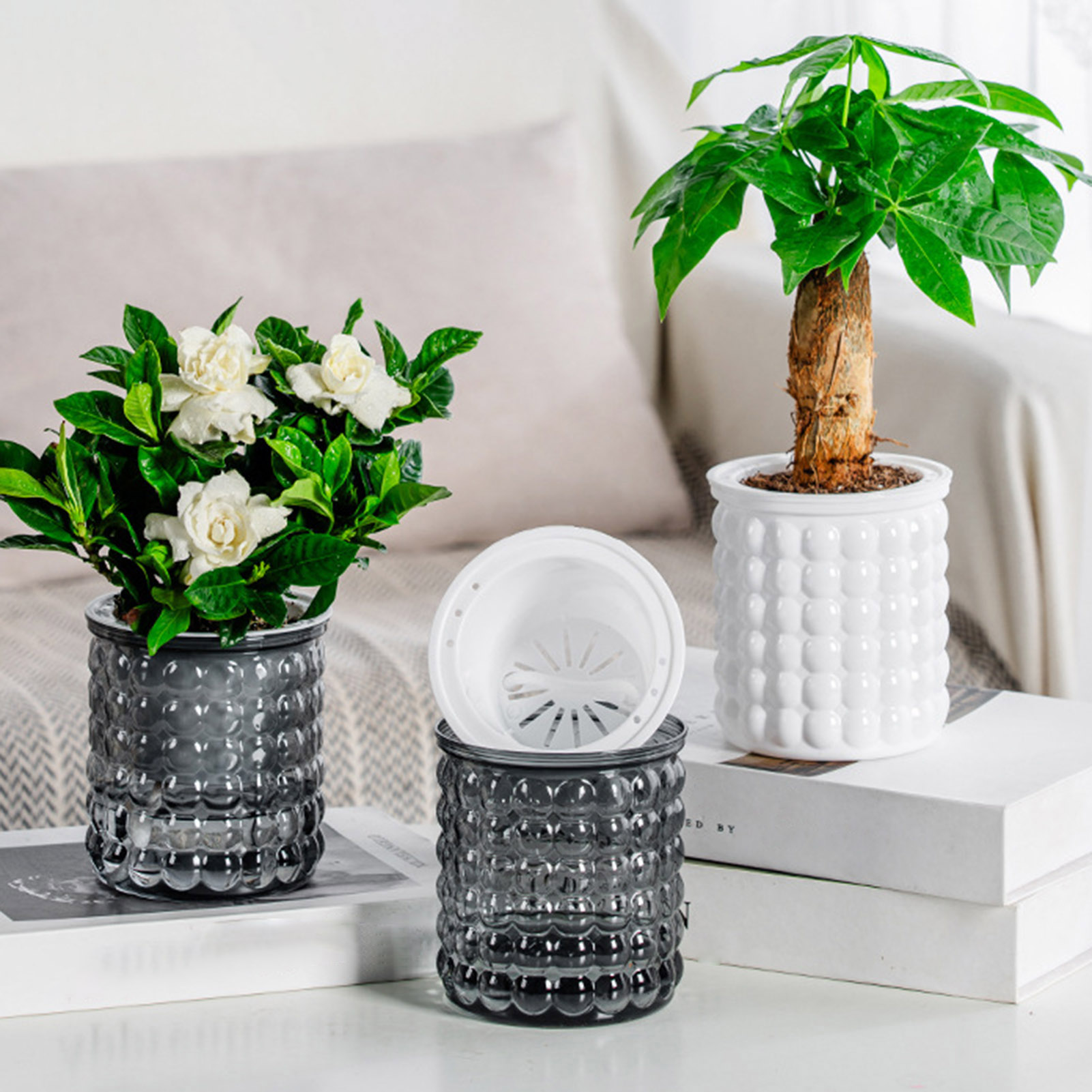 Novo auto rega plantas hidropô - Bonsai Garden Zen avaliação e preço