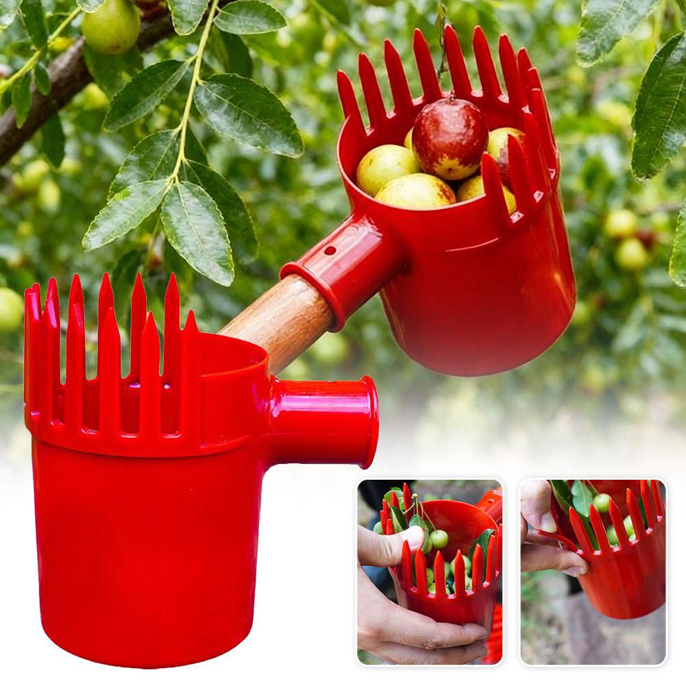 Ferramenta Portátil para Colhe - Bonsai Garden Tree avaliação e preço
