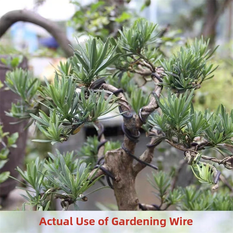 Fios de alumínio para bonsai d - Bonsai Wire Aluminum avaliação e preço
