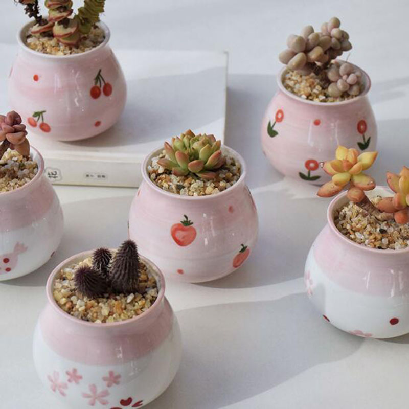 Bonito rosa menina coração sér - Bonsai Garden Europe avaliação e preço