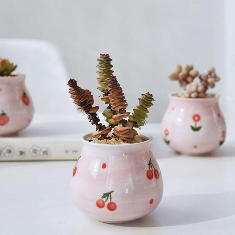 Bonito rosa menina coração sér - Bonsai Garden Europe avaliação e preço