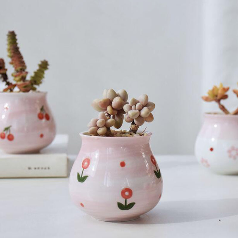 Bonito rosa menina coração sér - Bonsai Garden Europe avaliação e preço