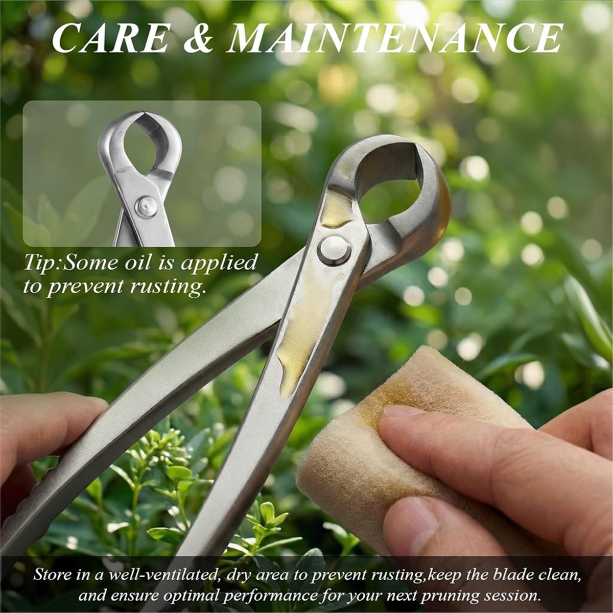 Conjunto de Ferramentas para B - Bonsai Tool Set avaliação e preço
