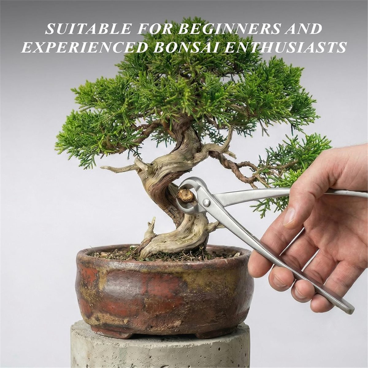 Conjunto de Ferramentas para B - Bonsai Tool Set avaliação e preço