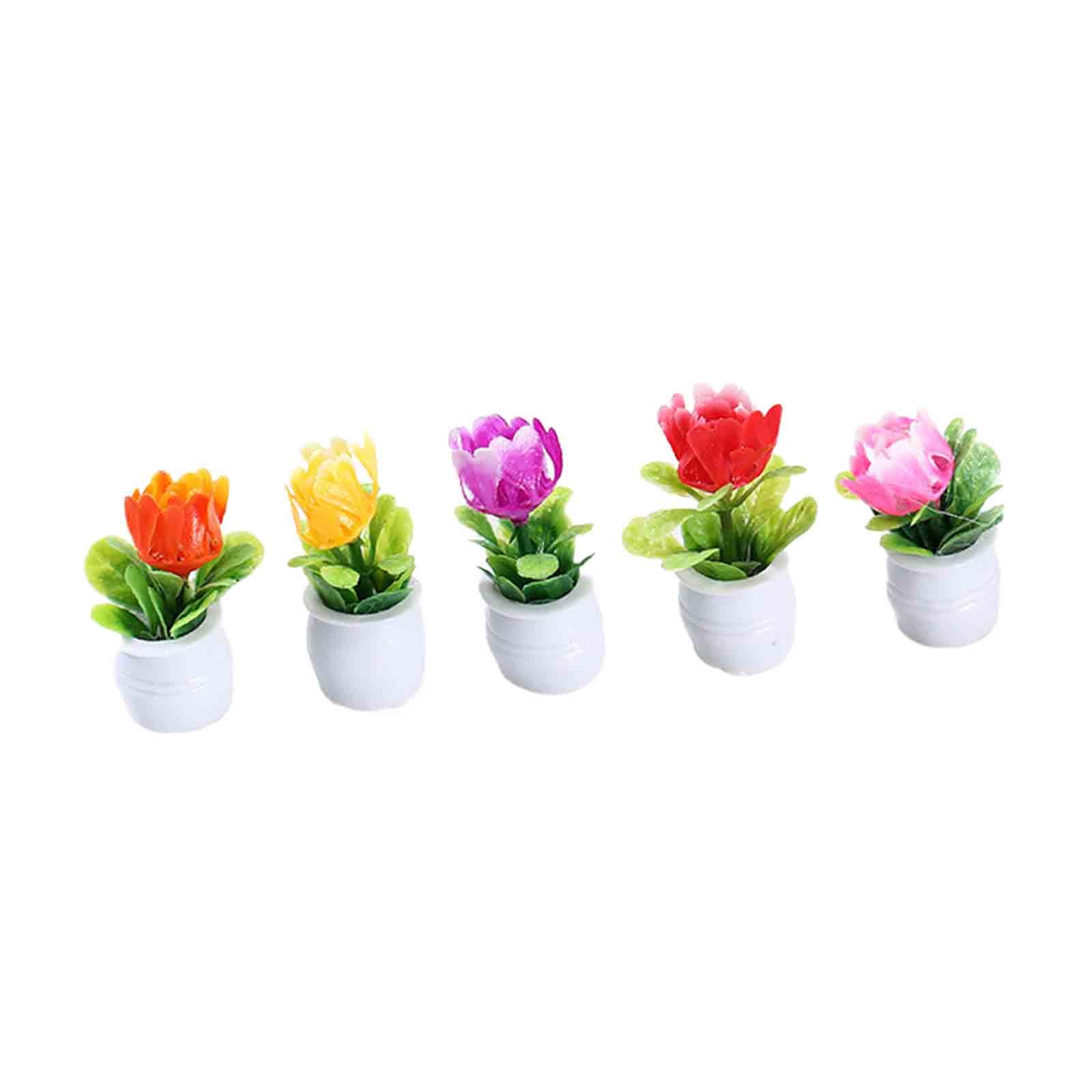 5 Peças de Mini Vasos de Flore - Bonsai Garden Europe avaliação e preço