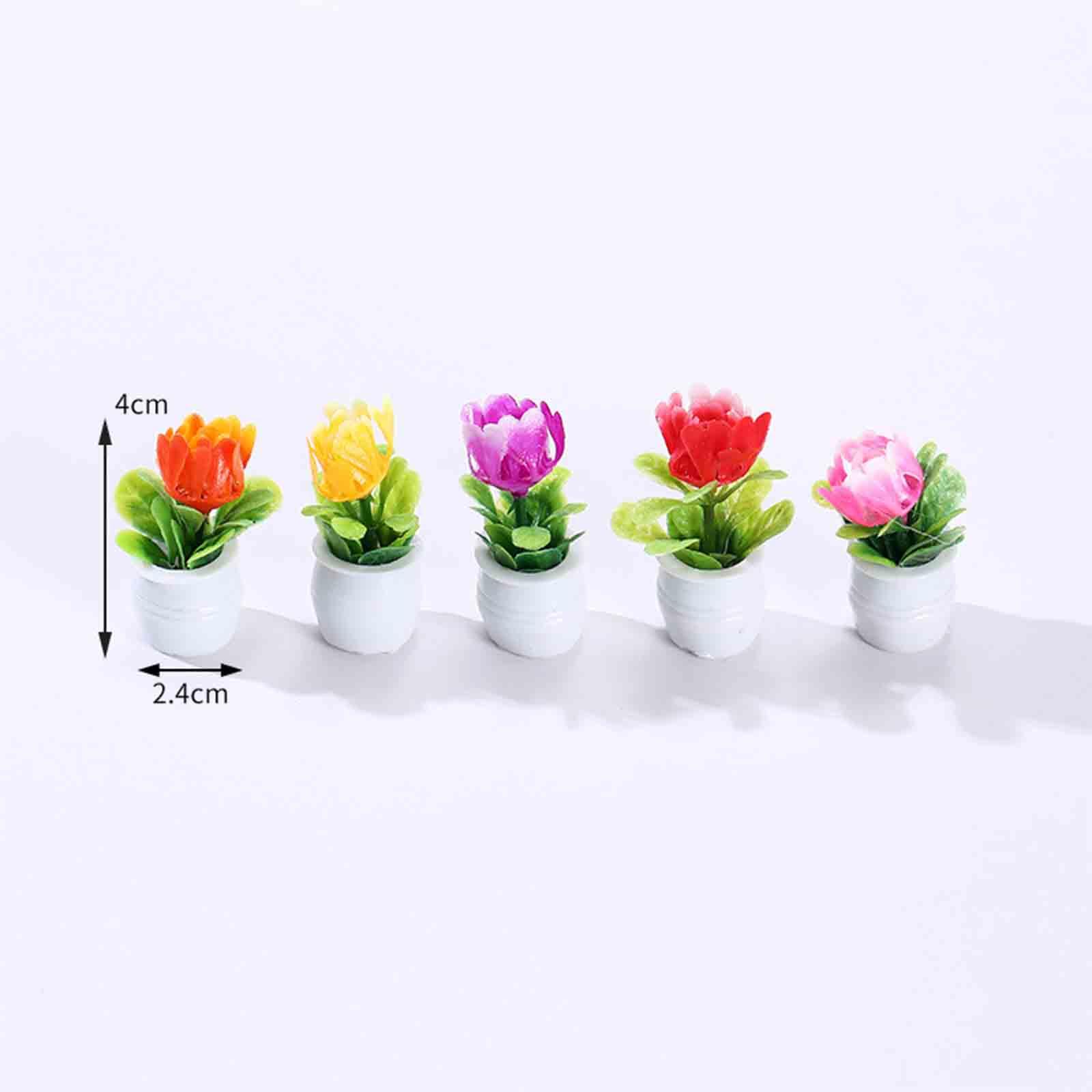 5 Peças de Mini Vasos de Flore - Bonsai Garden Europe avaliação e preço
