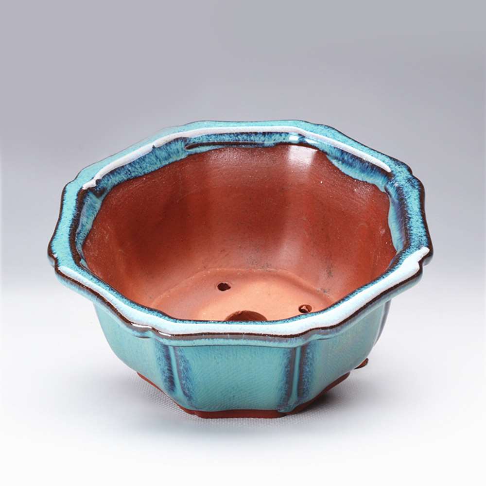 Vasos de bonsai estilo chinês, - Training Pot Ceramic avaliação e preço