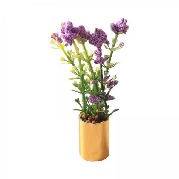 Miniatura de Planta em Vaso Or - Bonsai Garden Europe avaliação e preço