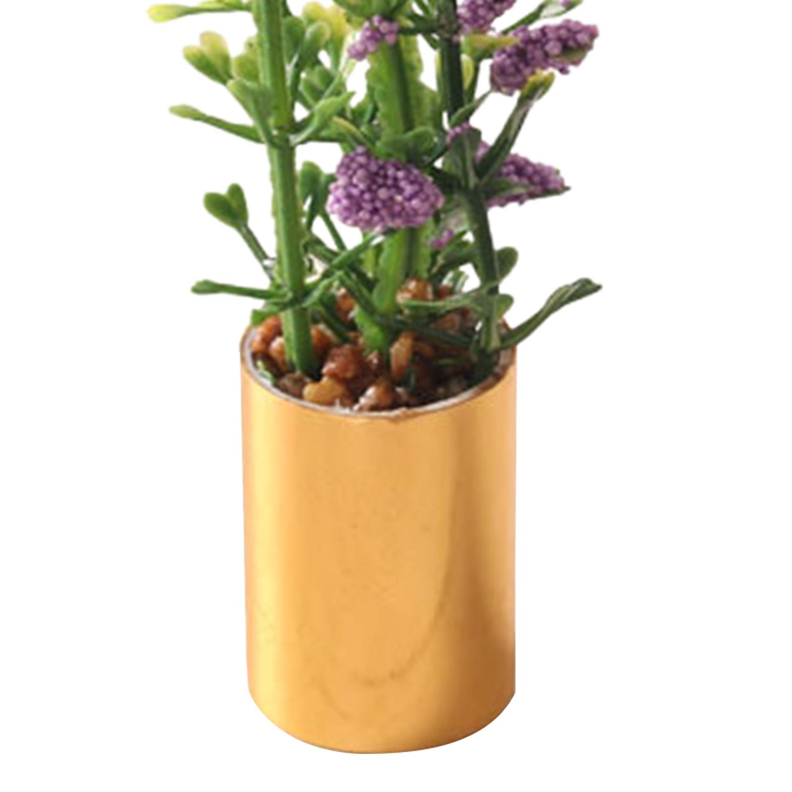 Miniatura de Planta em Vaso Or - Bonsai Garden Europe avaliação e preço