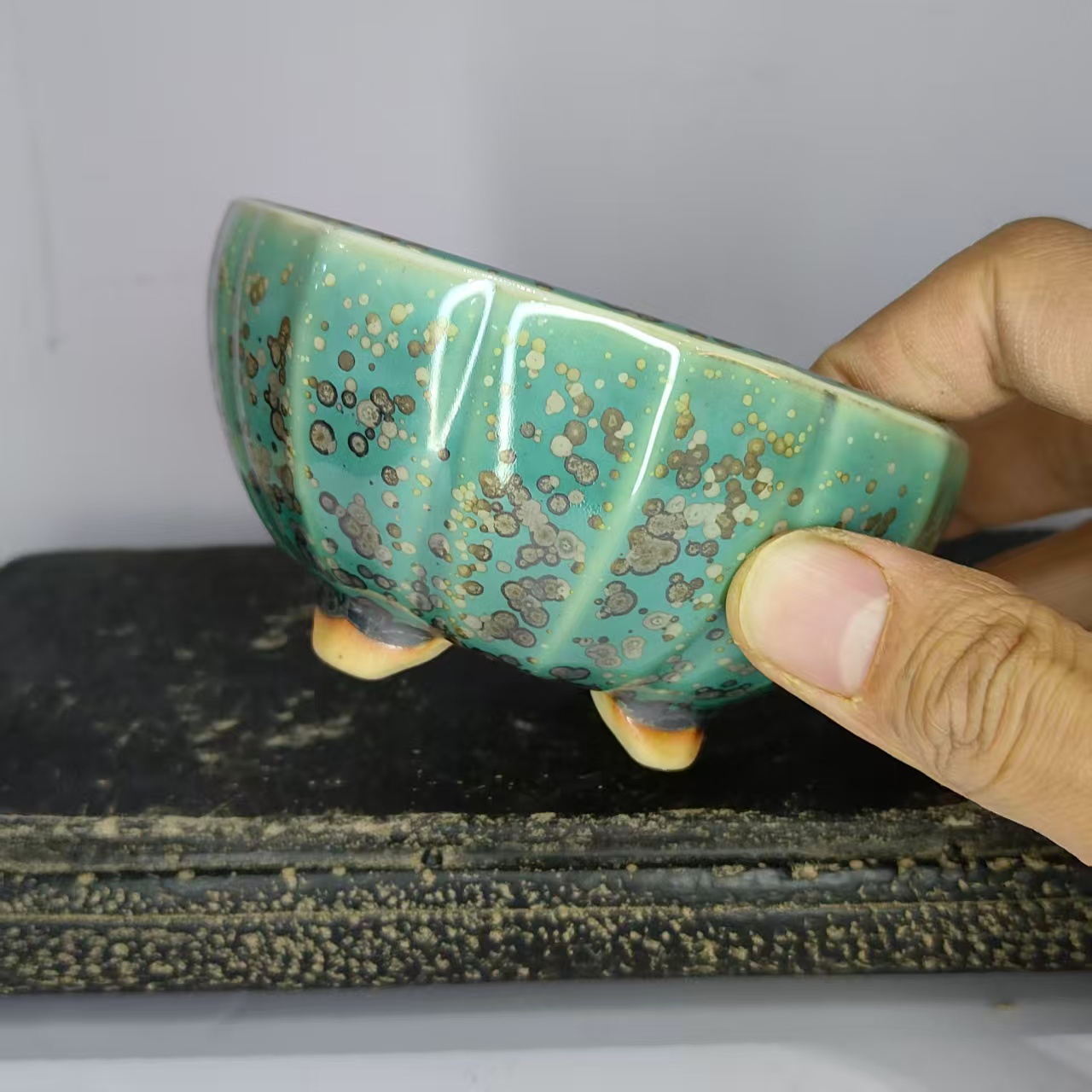 Vaso de Bonsai Popular em Form - Bonsai Garden Zen avaliação e preço
