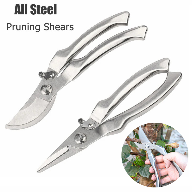 Tesoura de Poda Profissional e - Bonsai Tool Set avaliação e preço
