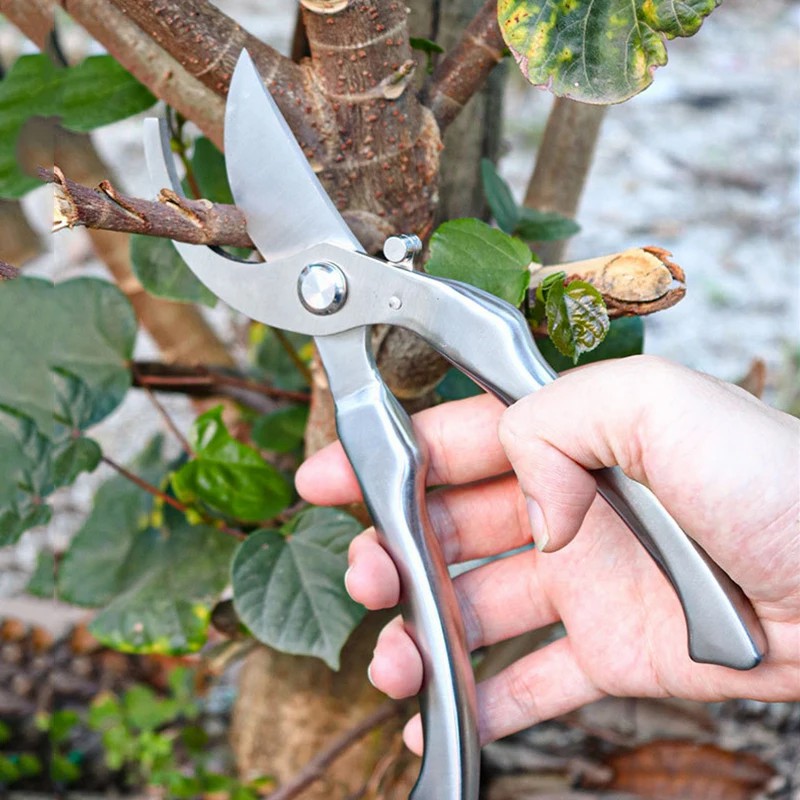 Tesoura de Poda Profissional e - Bonsai Tool Set avaliação e preço